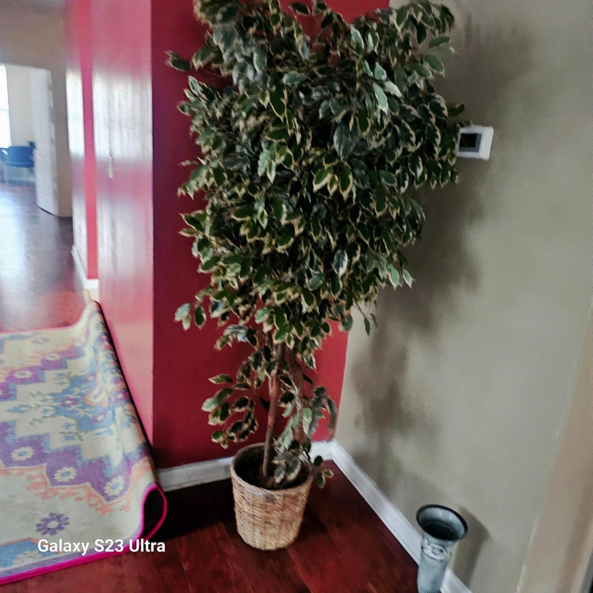 Divine Villa & Resorts Guest House - 283 Lehigh Ave Newark Dış mekan fotoğraf